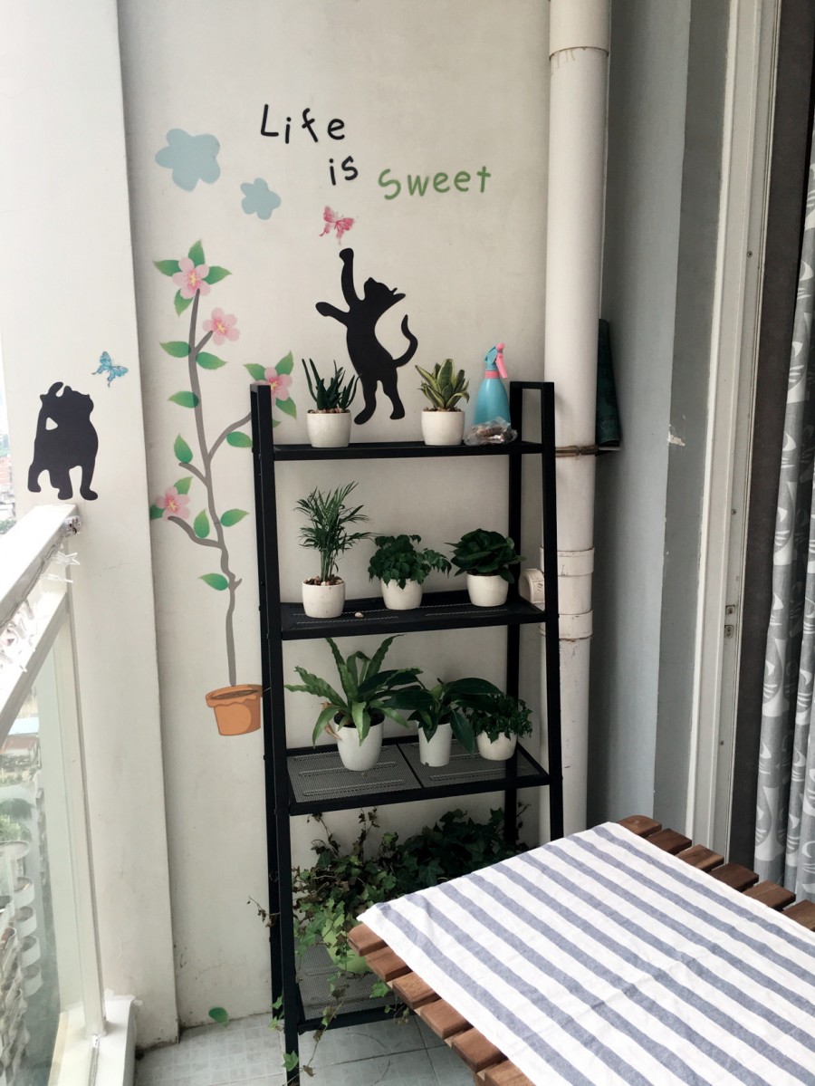 猫咪之家的北欧风格小户型阳台装修效果图
