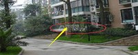 一楼的房子弊端太多？内行人透露：有钱人都喜欢买一楼