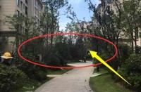 一楼到底哪里差？住进去后来聊聊感受