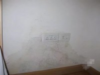 一楼的房真的不能买吗 送多少平也别买？